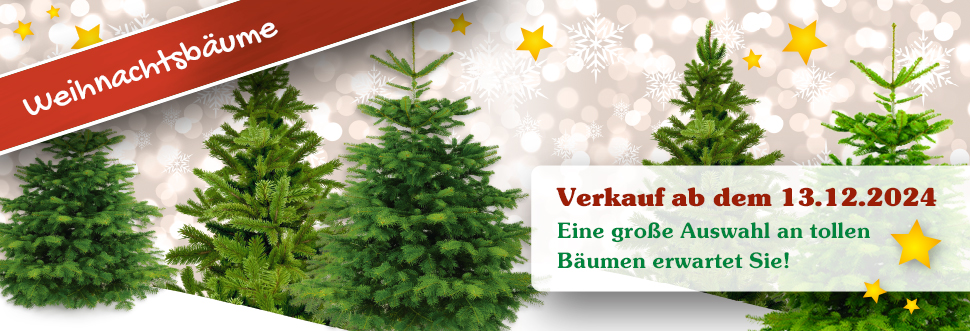 Weihnachtsbäume - Verkauf ab dem 13.12.2024 - Eine große Auswahl an tollen Bäumen erwartet Sie!