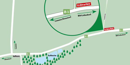 Erdbeerfeld in Branschweig