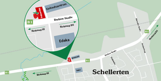 Erdbeerfeld in Branschweig